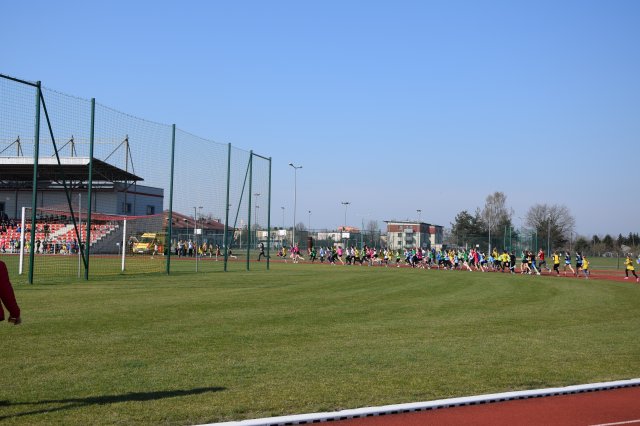 biegikwi 20